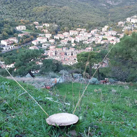Sardinia Retreat Base Is Your 14th Century With Expert Tips Casa de Férias Santu Lussurgiu